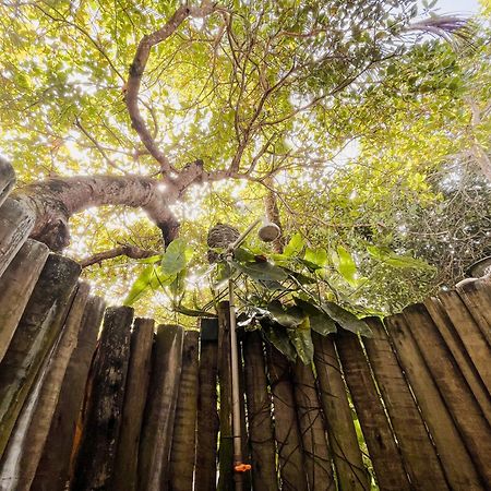 Pousada Zen Caraíva エクステリア 写真